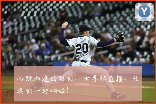 心跳加速的时刻!世界杯直播,让我们一起呐喊!
