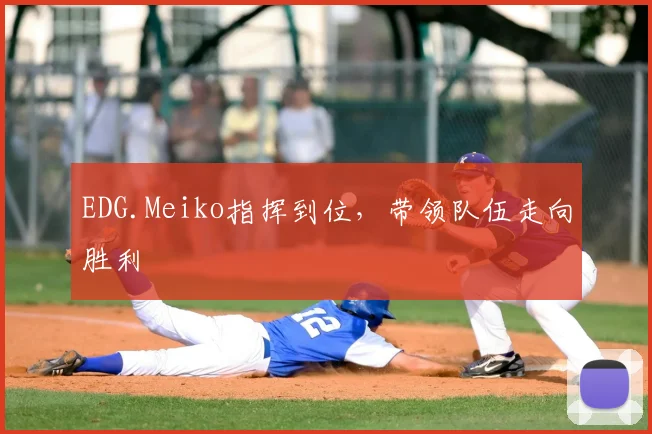 EDG.Meiko指挥到位,带领队伍走向胜利